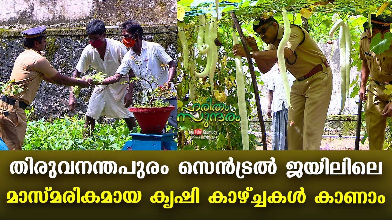 Watch the spectacular farming views of Central Prison at Trivandrum | Haritham Sundharam EP 276