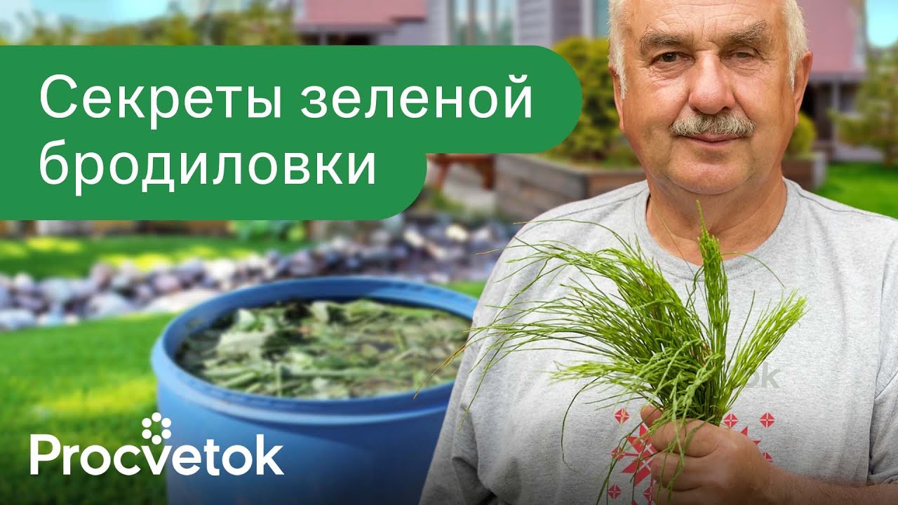 ЗЕЛЕНОЕ УДОБРЕНИЕ СТАНЕТ ГОРАЗДО ЦЕННЕЕ, если добавите в него эти травы! И если знаете, какие нельзя