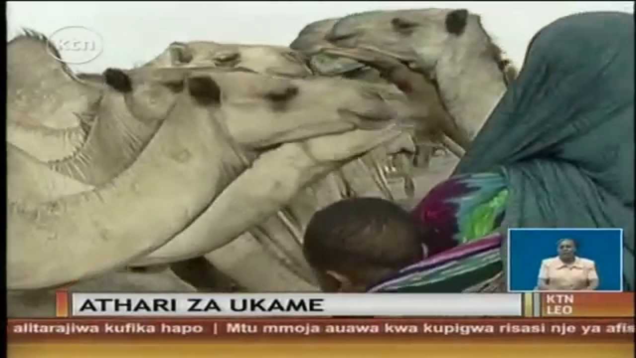 Wafugaji wanaoishi maeneo ya mpakani mwa Ethiopia na Kenya washuhudia kiwango cha juu cha ukame