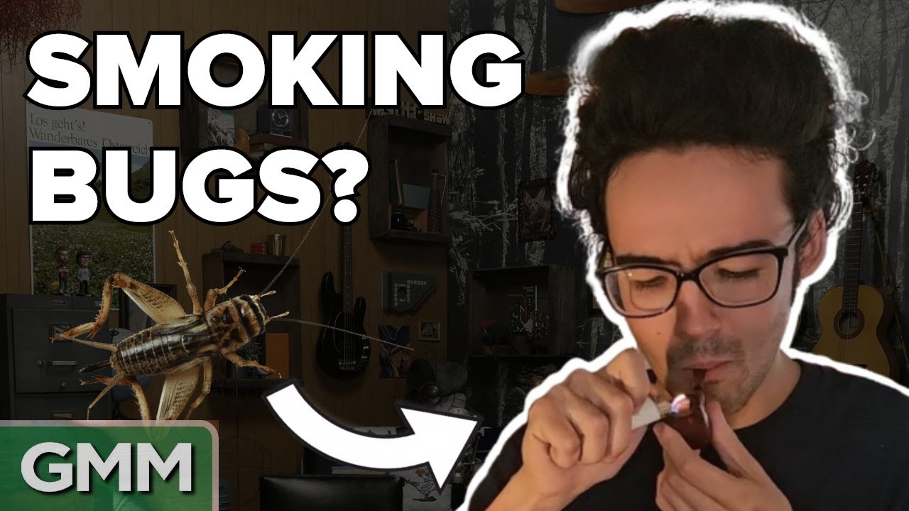 Will it Smoke? Smoke Test