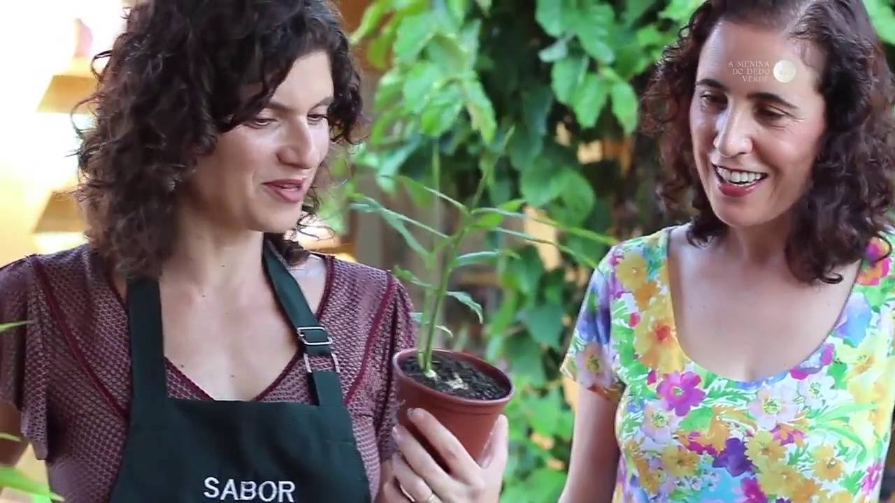 Ervas para Melhorar a Imunidade com Sabrina Jeha