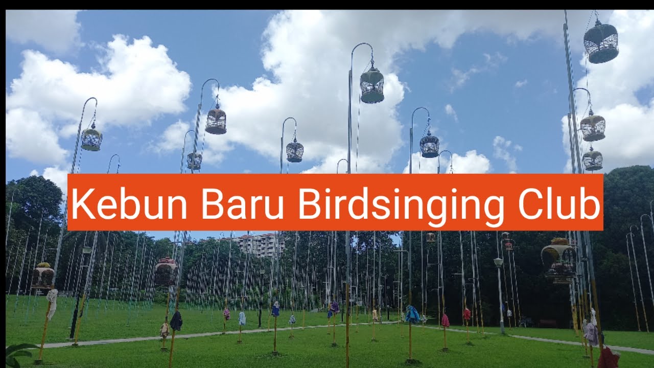 Kebun Baru Birdsinging Club ||  How to go Kebun Baru Birdsinging Club || Singapore