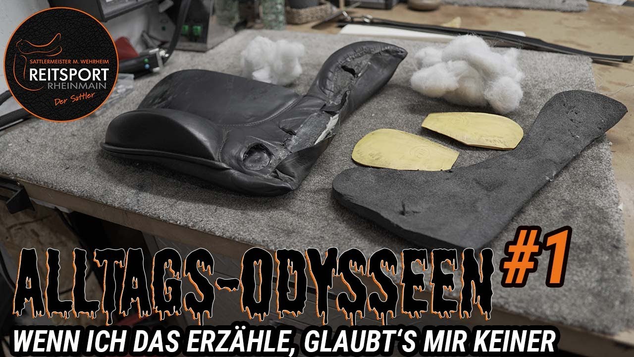 Alltags-Odysseen wenn ich das erzähle, glaubt's mir keiner #1 | Reitsport-Rheinmain