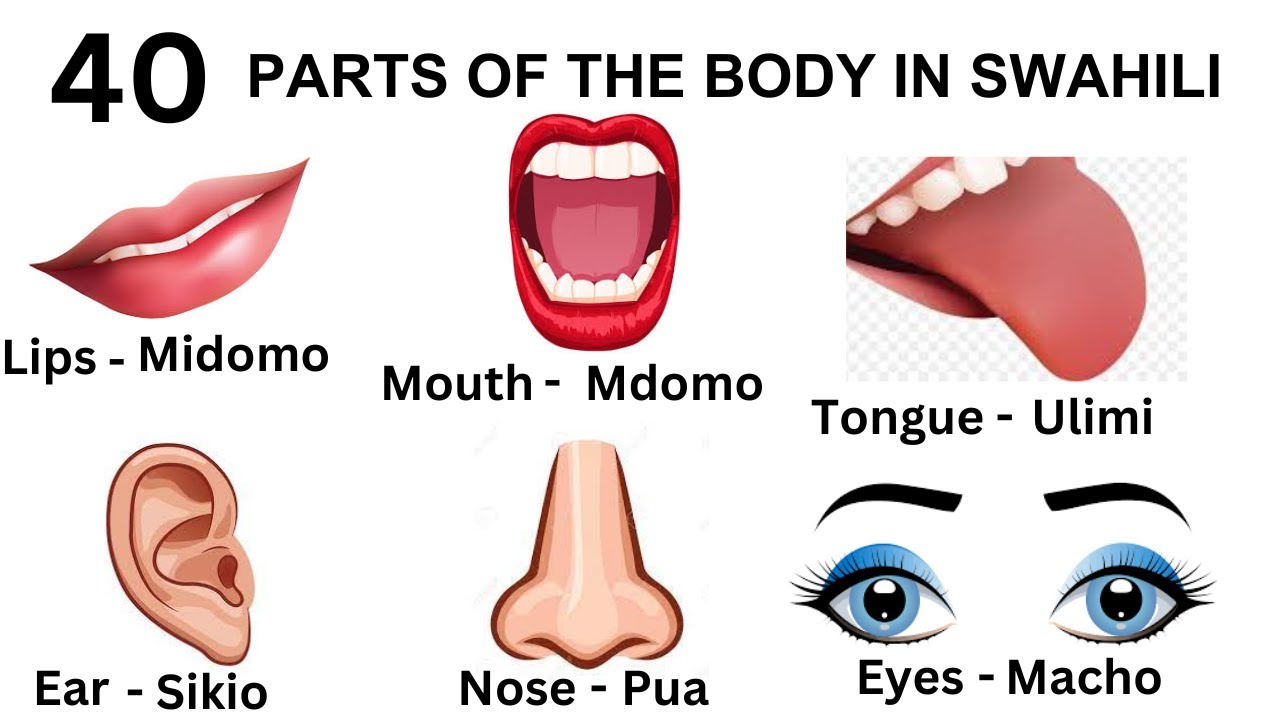 Parts of the body in Swahili! Parts of the body vocabulary in Swahili! Learn Swahili