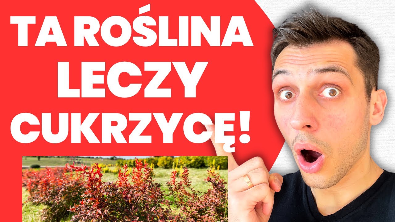 Szok! Już tak mała ilość obniża wysoki poziom cukru i hamuje cukrzycę! Przełom w leczeniu cukrzycy!