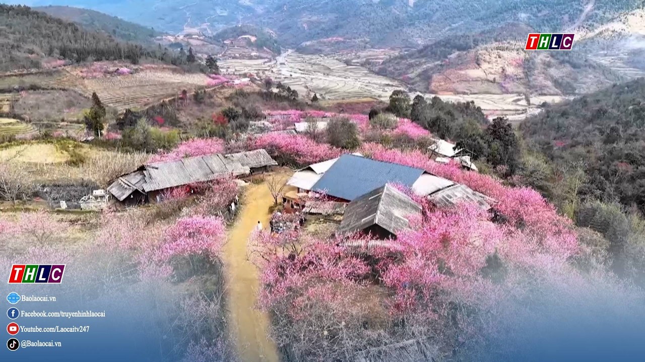 Thời sự Lào Cai 19h50 (18/2/2026) | THLC
