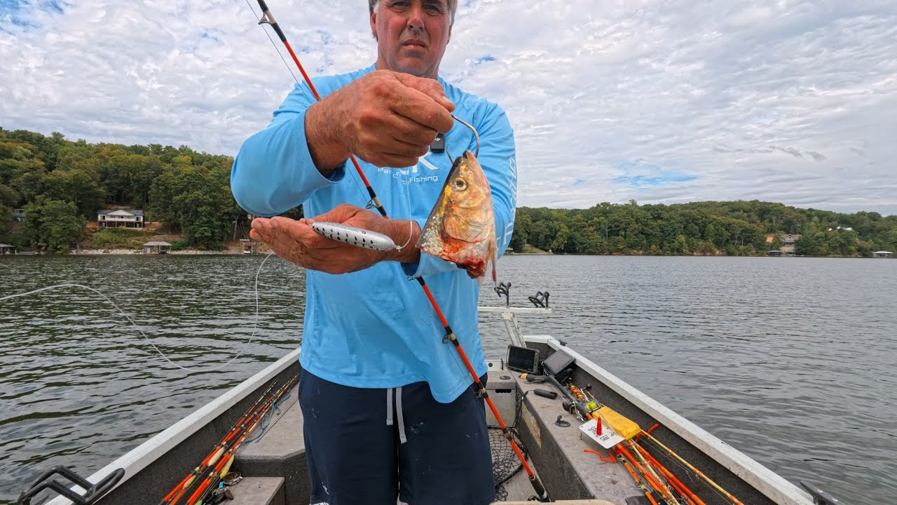 4 Hours of RAW and UNCUT Boat Catfishing | Dragging Cut Bait on the Tennessee River