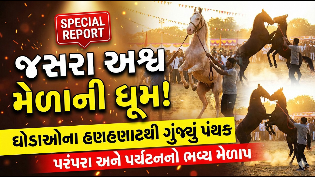 વાવ થરાદમાં પરંપરા અને પર્યટનનો ભવ્ય મેળાપ! જસરા અશ્વ મેળામાં હજારોની હાજરી, મંત્રી રહ્યા ઉપસ્થિત