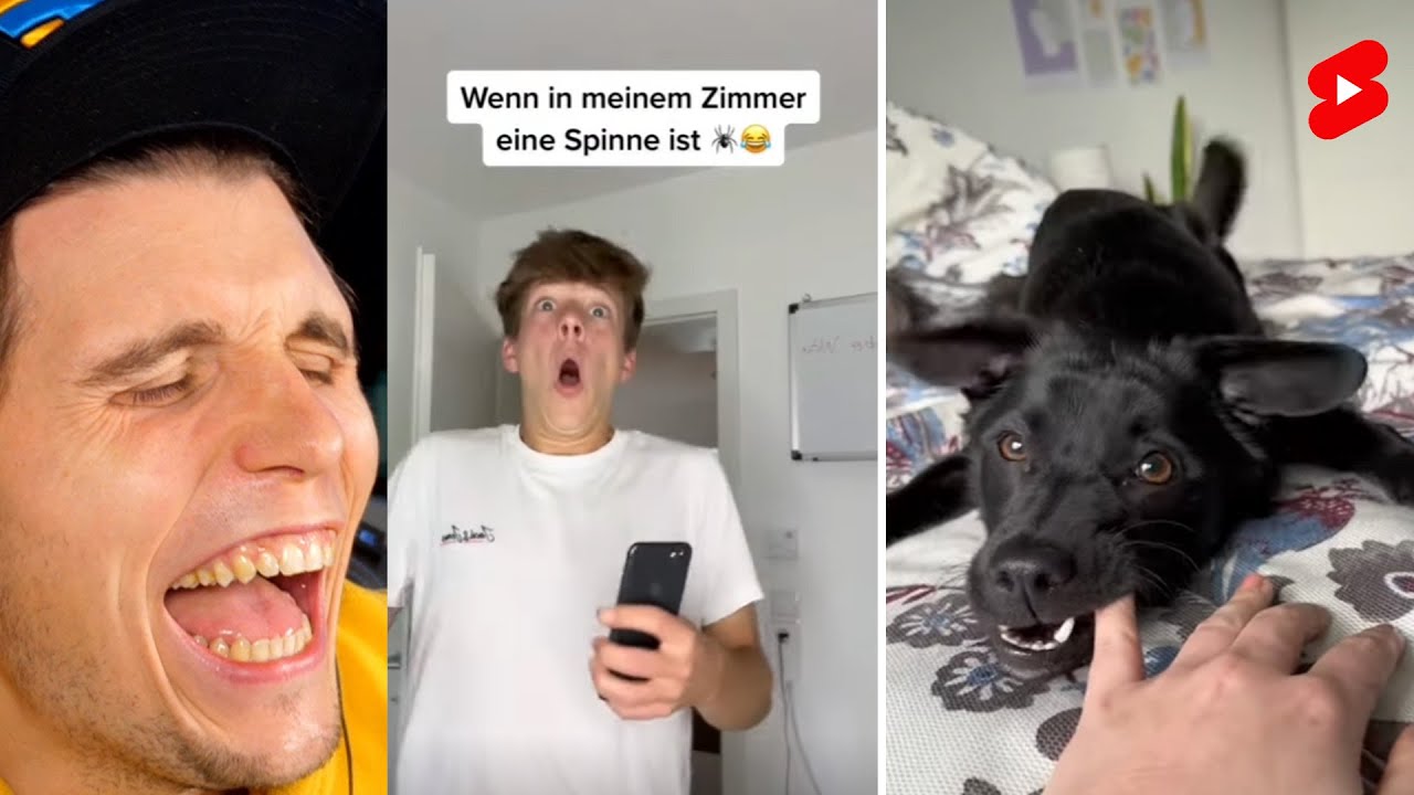Paluten guckt Shorts 146.0