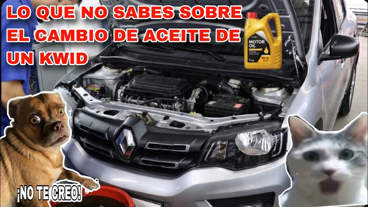 COMO HACER MANTENIMIENTO A KWID