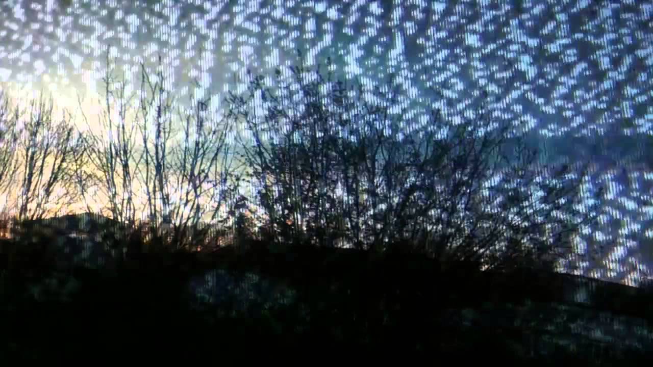 Bones - TheHealingFields (Slowed Down)
