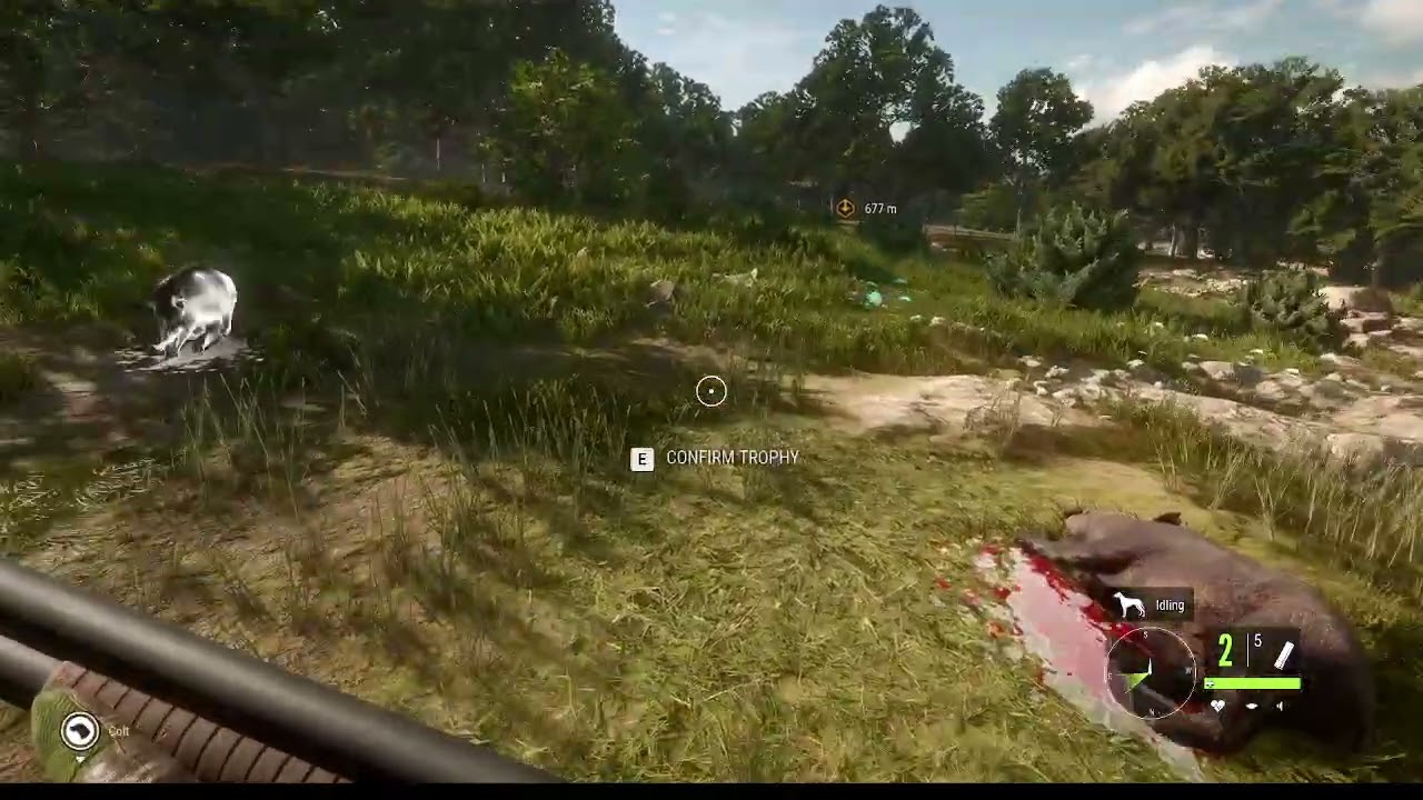 This hunting trip almost ended badly, dropping hogs