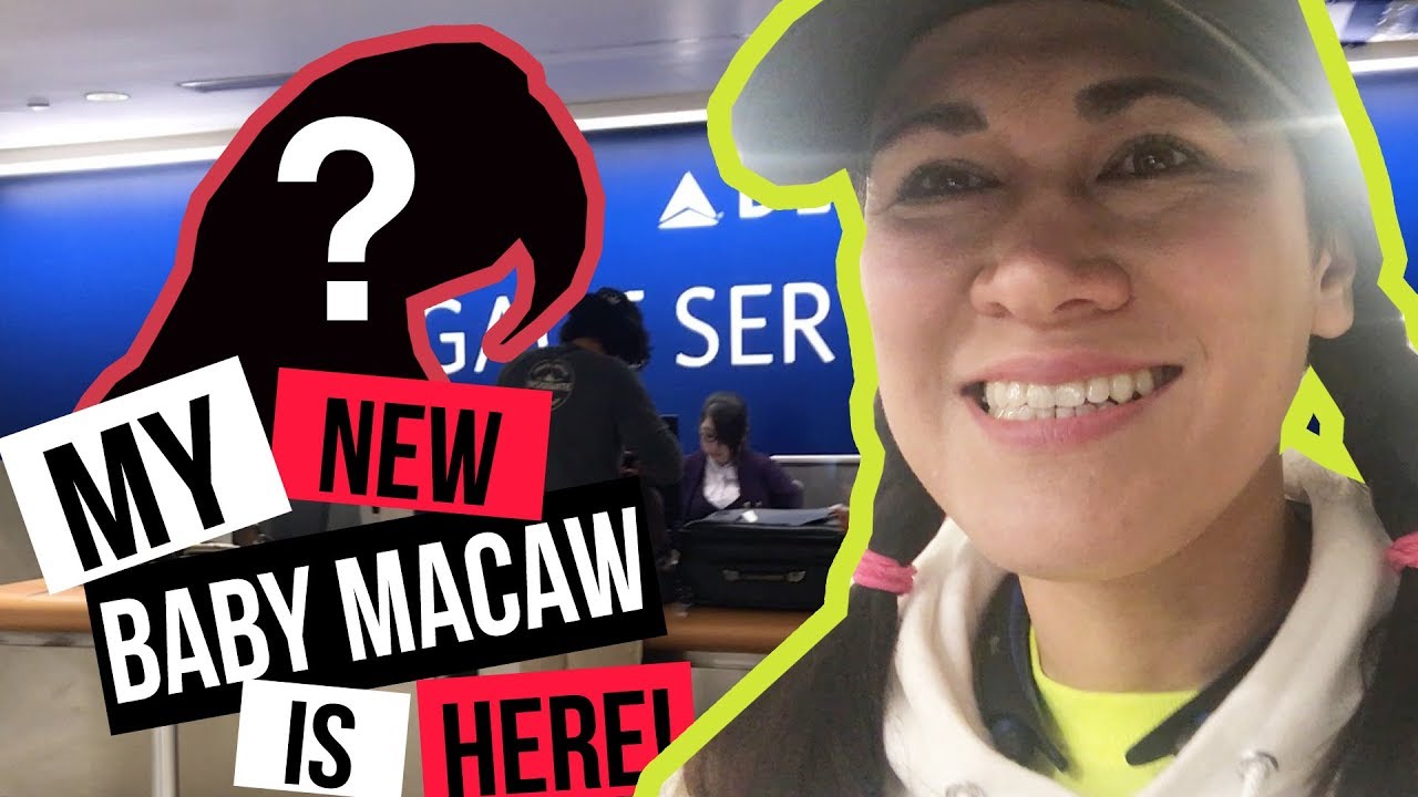PICKING UP MY NEW BABY MACAW BIRD FROM LAX AIRPORT DELTA CARGO!