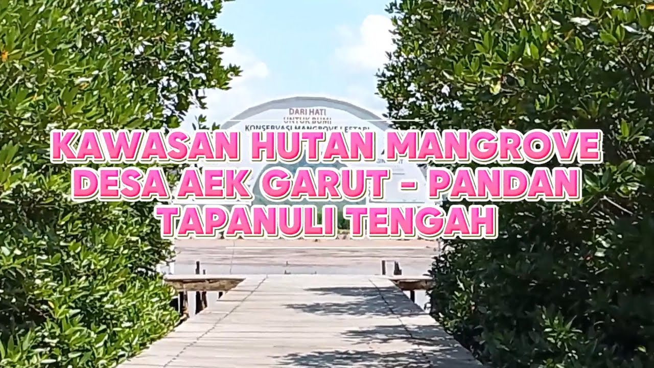 Kawasan Hutan Mangrove  Aek Garut Tapanuli Tengah