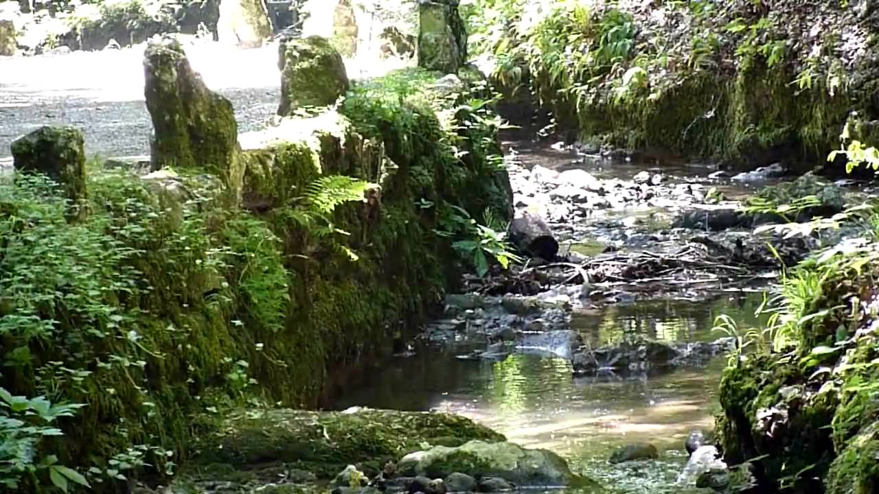 Die Verenaschlucht , Solothurn