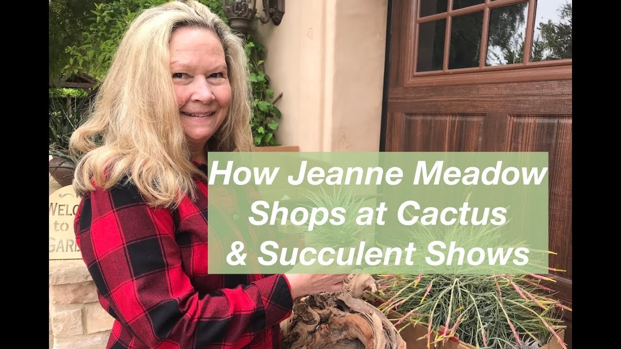 How Jeanne Meadow Shops at Cactus & Succulent Shows