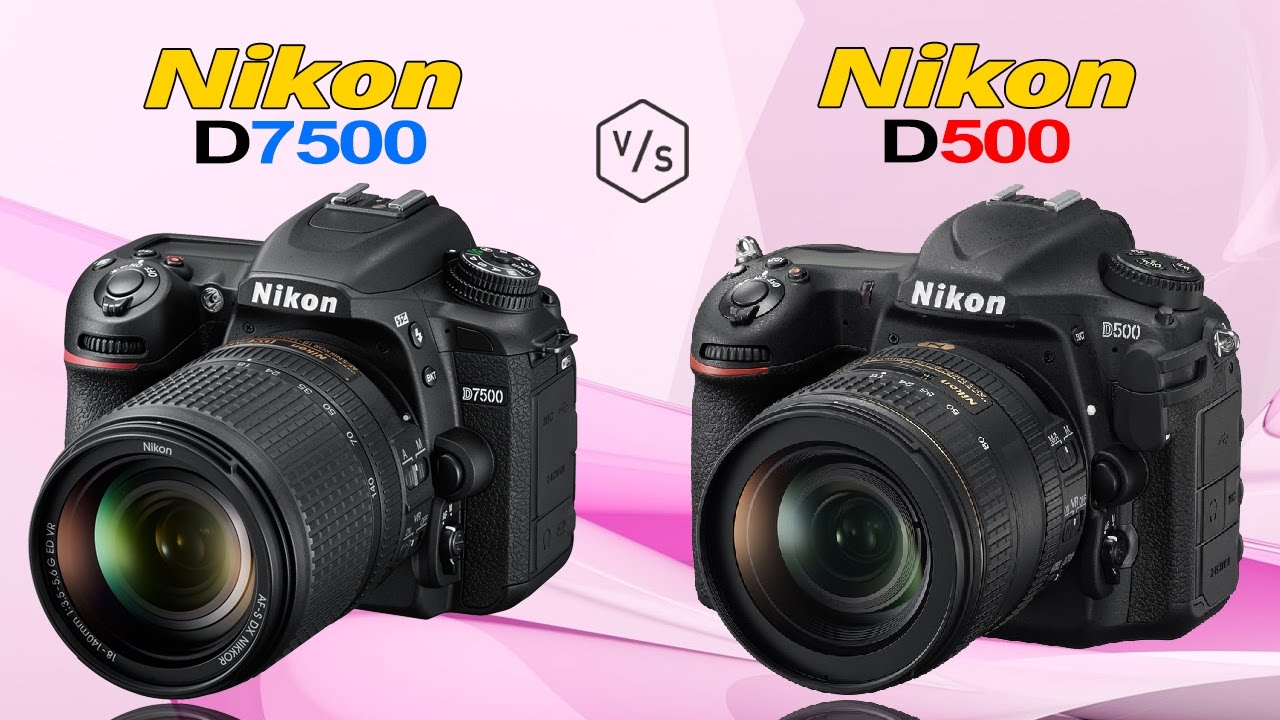 Nikon D7500 vs Nikon D500