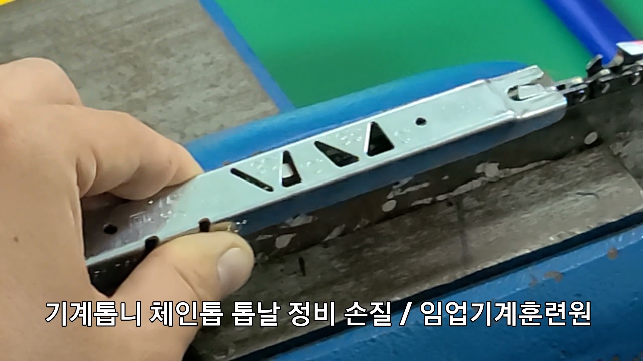 기계톱니 체인톱 톱날 정비 손질 / 임업기계훈련원 / 산림경영자과정 / 2021.10.07.