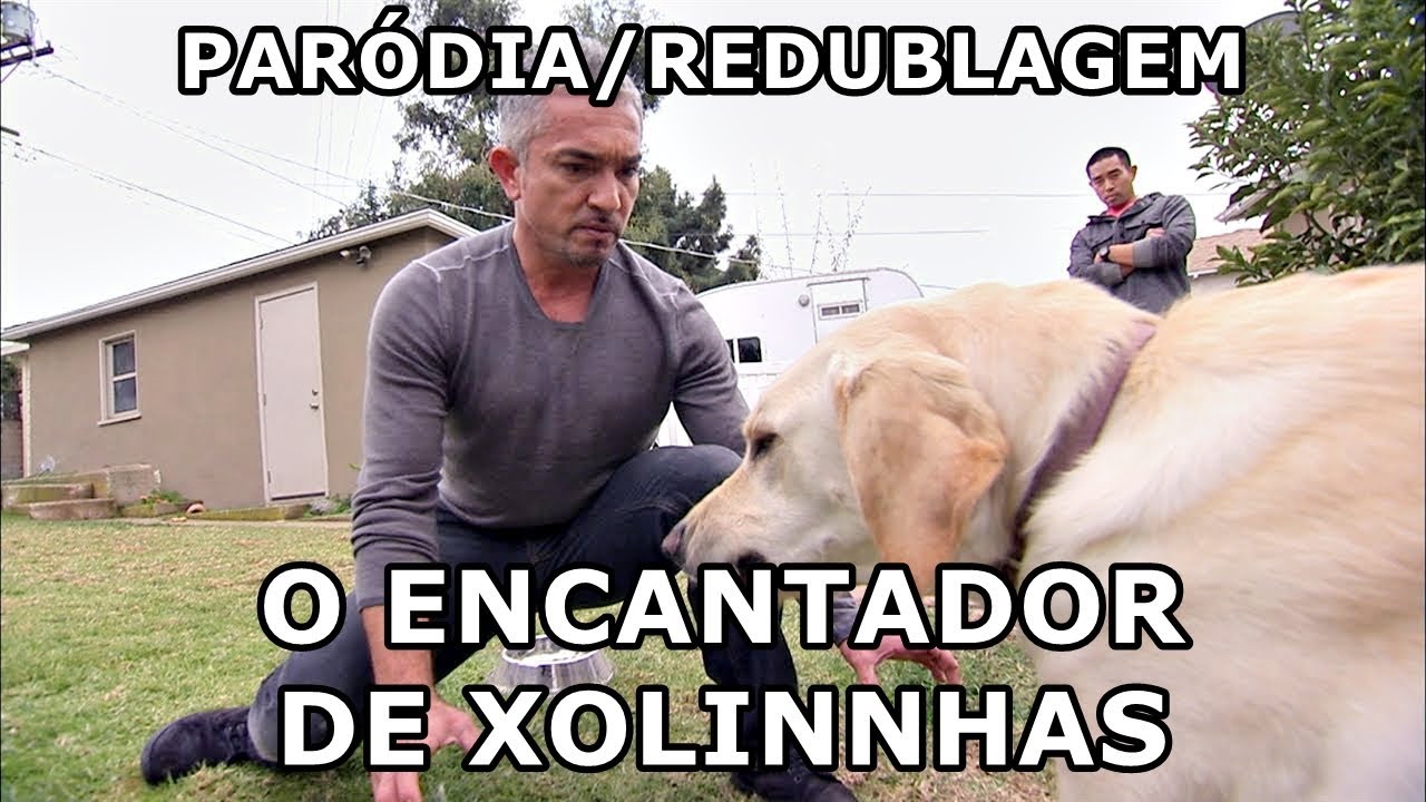 E SE O ENCANTADOR DE C&Atilde;ES FOSSE NA BAHIA? - Par&oacute;dia/Redublagem
