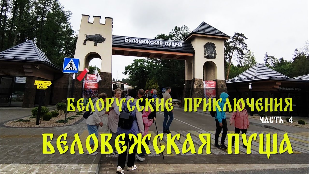 Белорусские приключения часть 4 - Беловежская пуща июль 2025