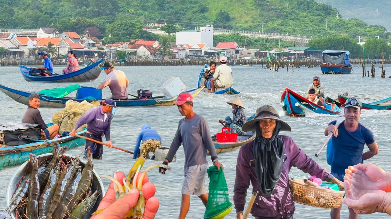 Nghề Bắt Con SBAY Con Da Tay Trên Đầm Nha Phu║Làng Tân Thuỷ Dưới Chân Đèo Rọ Tượng