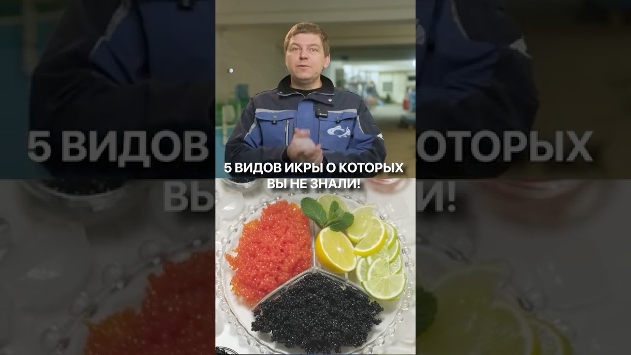 Это САМАЯ редкая икра во всем мире! 