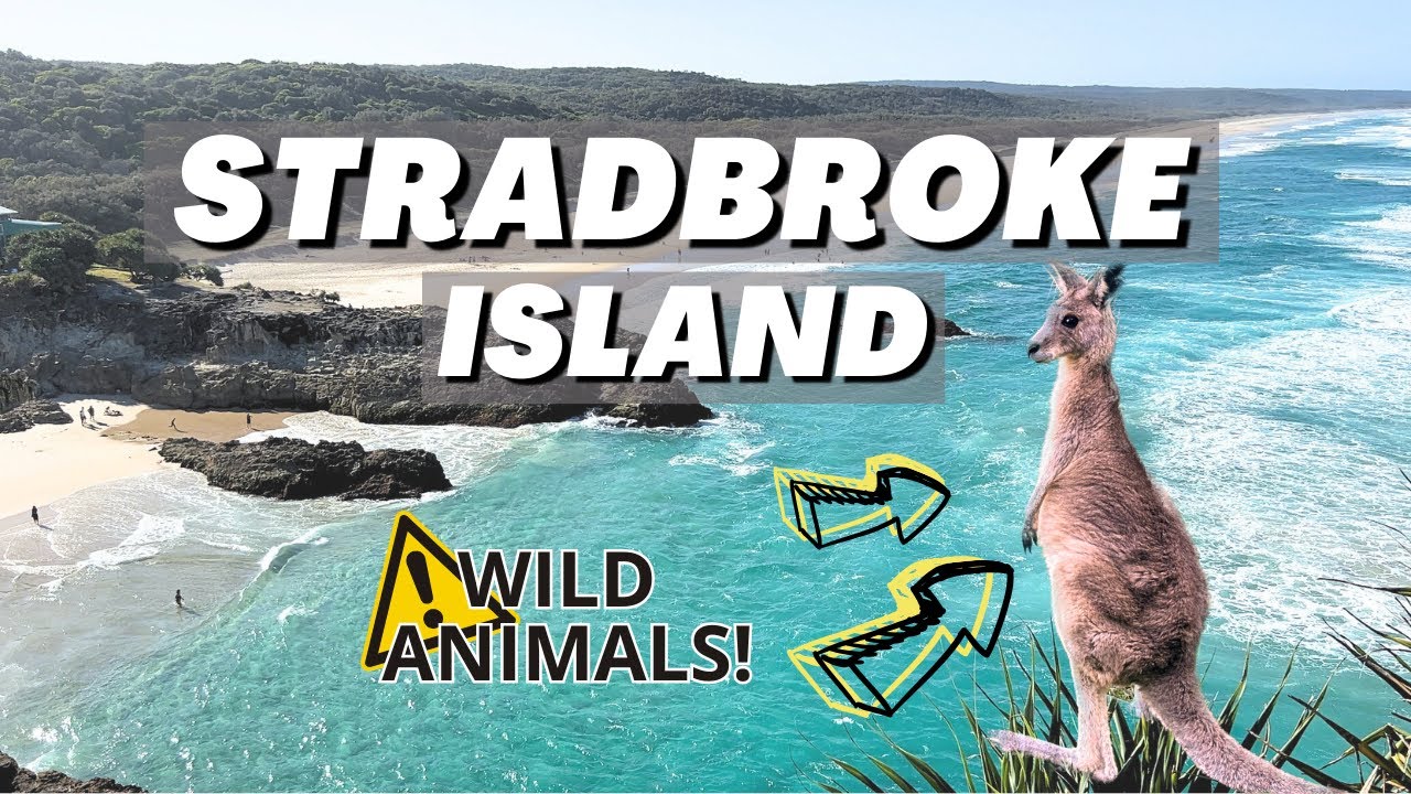 NORTH STRADBROKE ISLAND | Why you should visit this island in Australia - Day Trip in Queensland