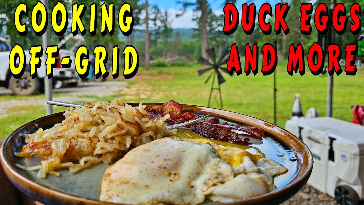 THIS WAS HER FIRST TIME COOKING ON CAMERA |tiny house, homesteading off-grid cabin build DIY HOW TO