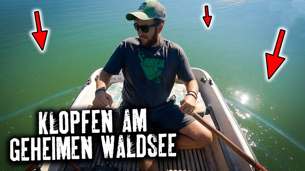 Auf Waller am geheimen Waldsee | MAD MADITSCH