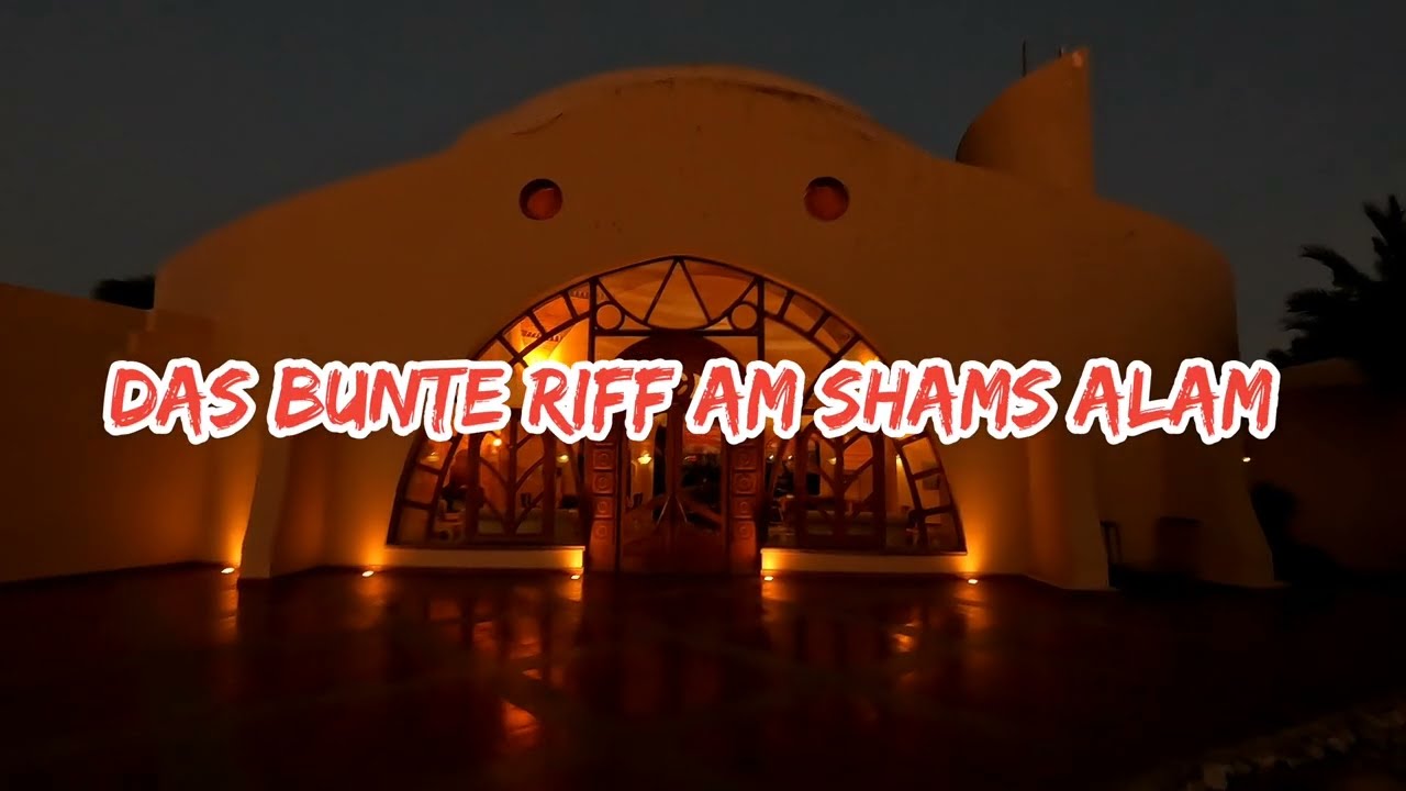 Das bunte Riff am Shams Alam Hotel ☀️🐟🐠🐙🦐🐢🐬