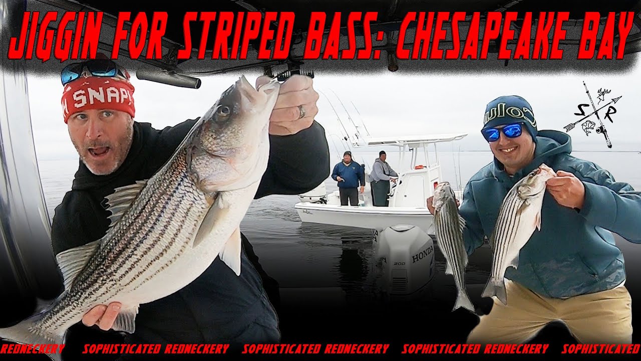 JIGGING FOR MASSIVE STRIPED BASS:  It was on FIRE!!  Chesapeake Bay, MD