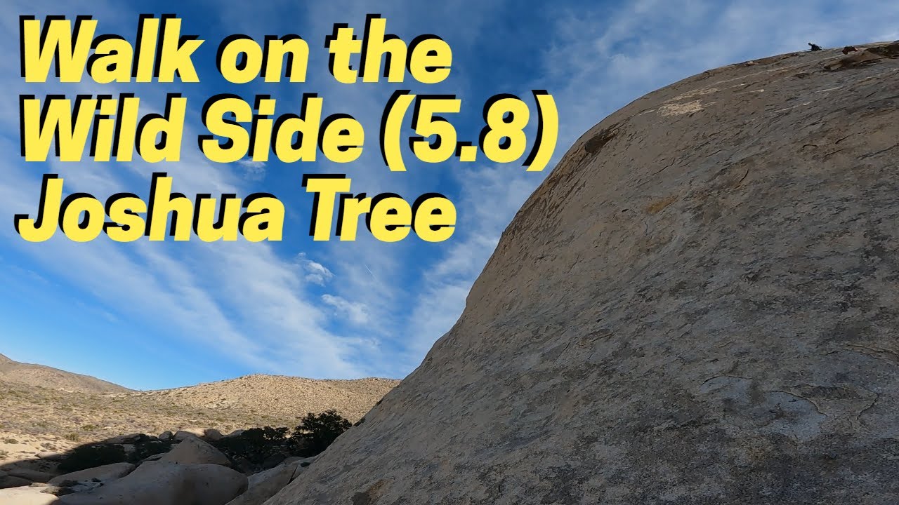 Walk on the Wild Side (5.8) | Rock Climbing in Joshua Tree