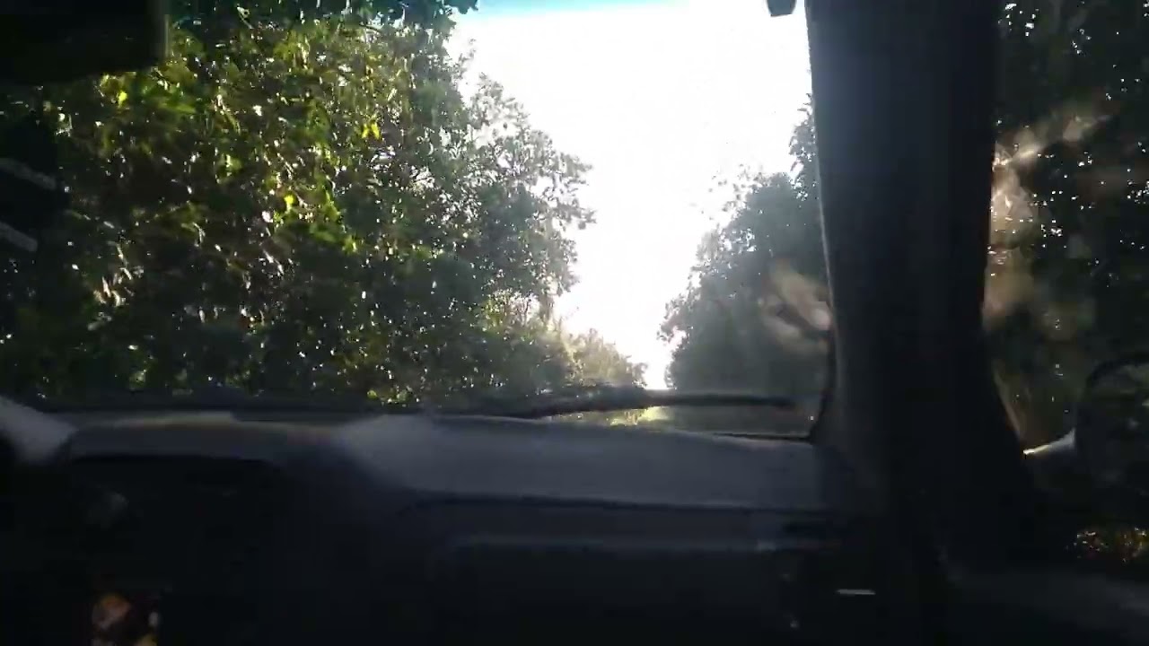 Conhecendo o pomar novo, parte do sequeiro e trocando uma ideia solta