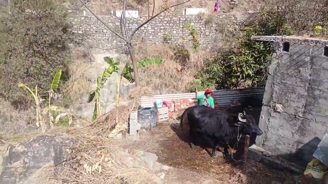 पहाड़ों का सुंदर नजारा 