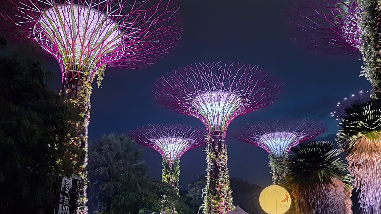 Supertrees Grove, Gardens by the Bay, Singapore.