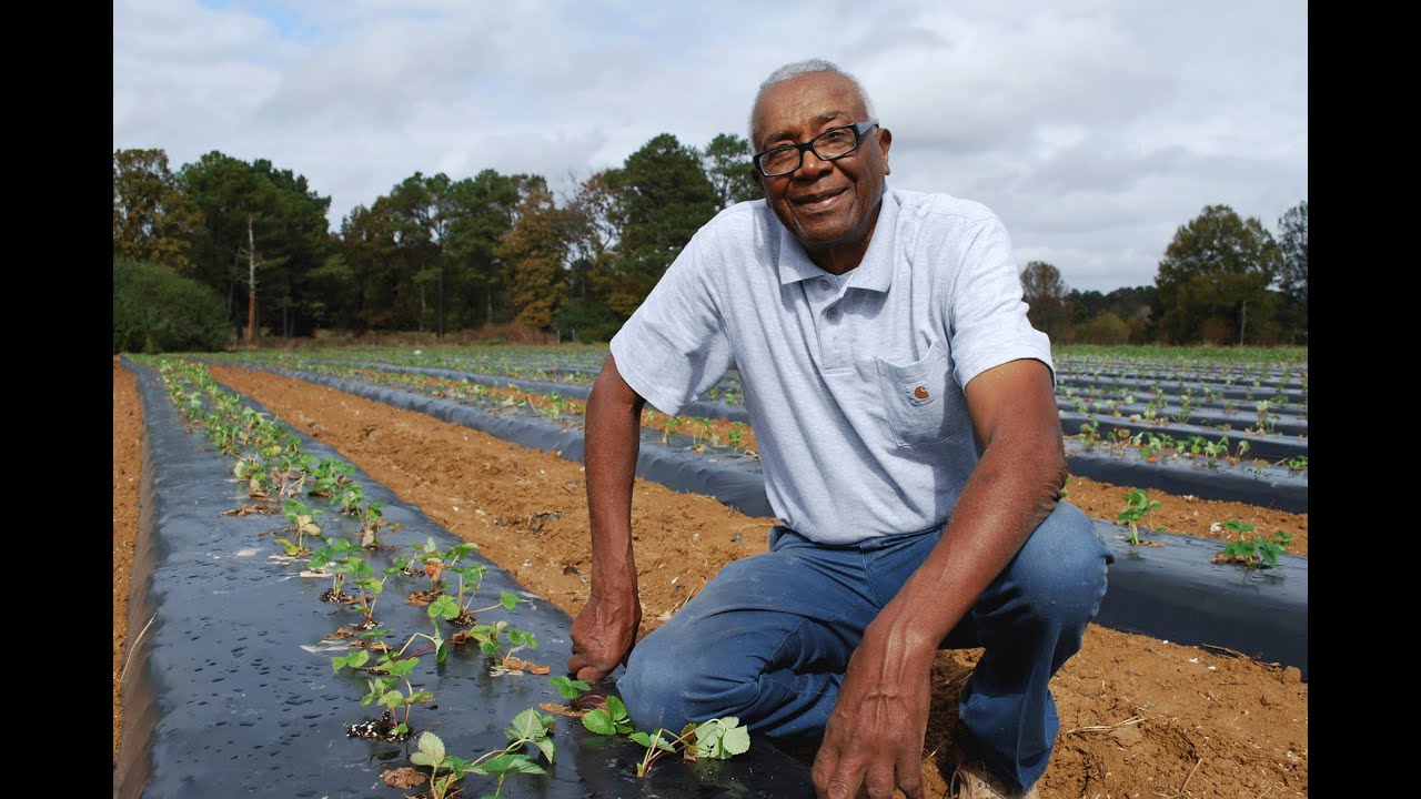NRCS Alabama's 2015 Small Farmer of the Year | JB Turner