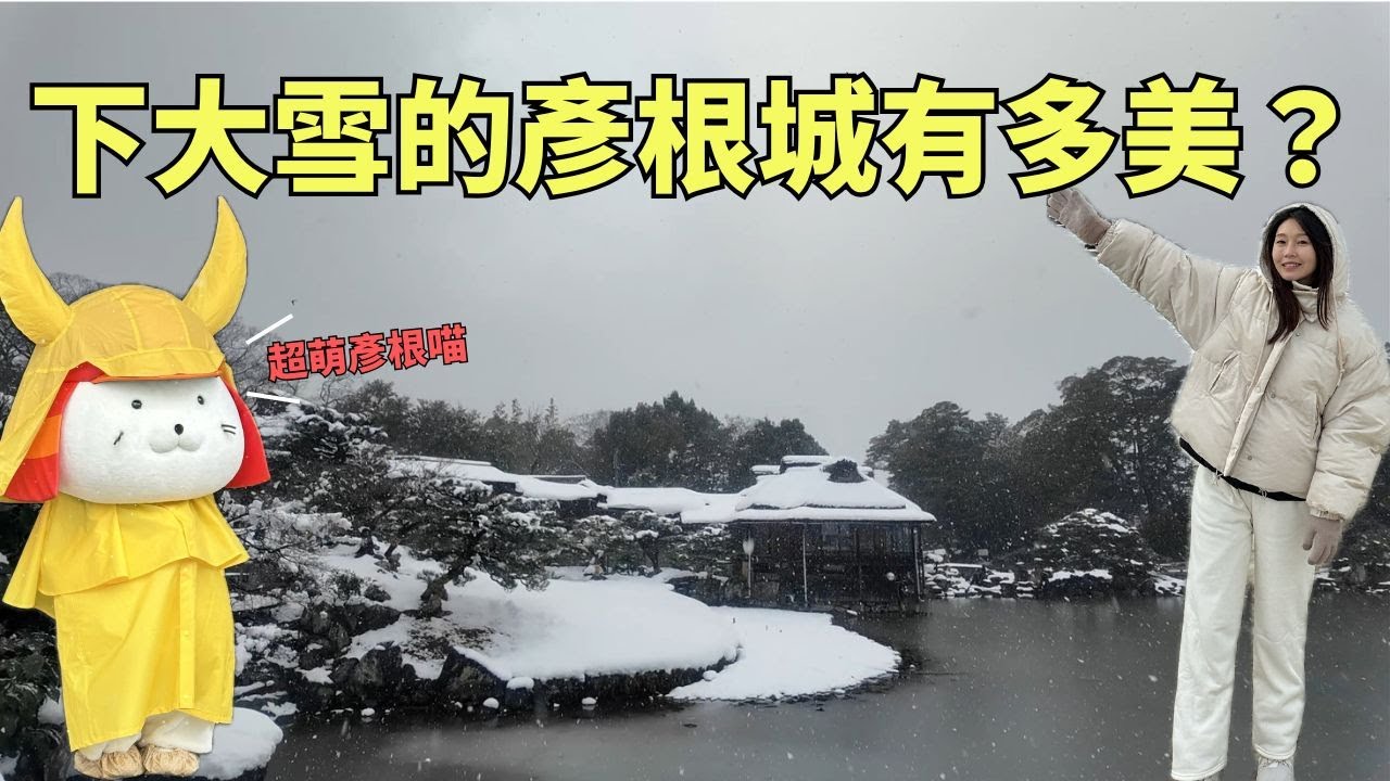 雪中的彥根城太夢幻！日本僅存國寶天守之一 #日本 #旅行 #滋賀県 #彥根