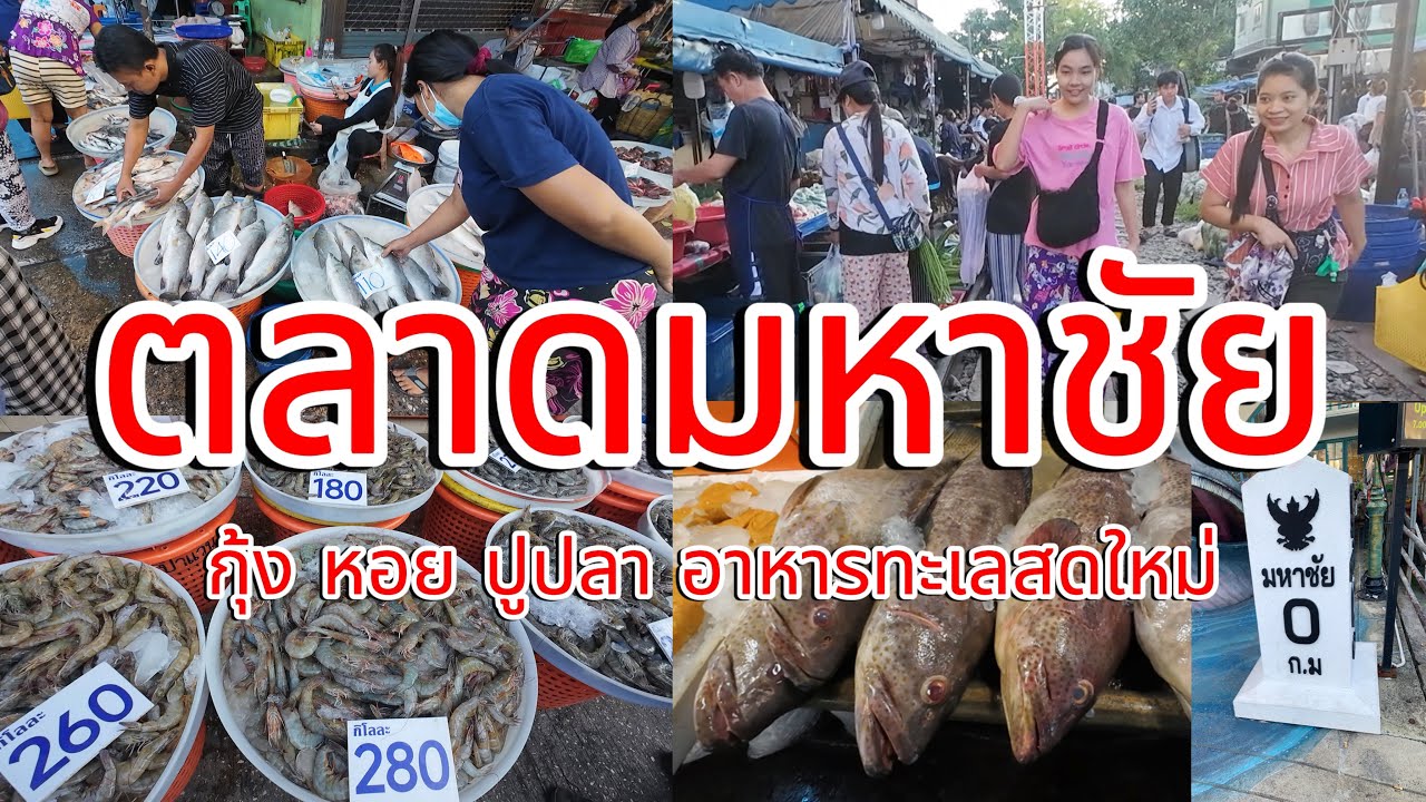 คึกคักแต่เช้า!!!ตลาดมหาชัย กุ้งหอยปูปลาอาหารทะเลสดๆใหม่ๆ #ตลาดมหาชัย