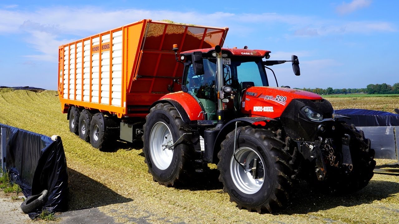 Mais 2025 | Claas Jaguar 980 12 rows | New BLW | Case 721F | Case IH | Rovers Boekel | Maishakselen