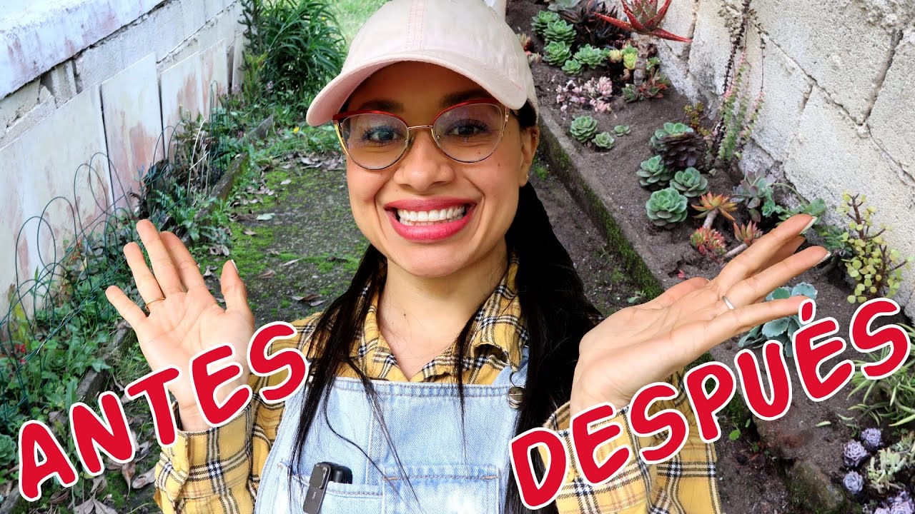 Renovando el JARDÍN DE SUCULENTAS que planté en suelo | Candy Bu