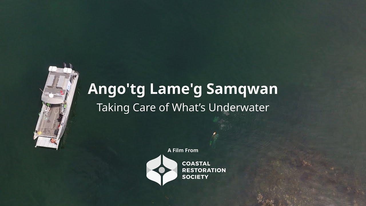 Ango'tg Lame'g Samqwan | Taking Care of What's Underwater