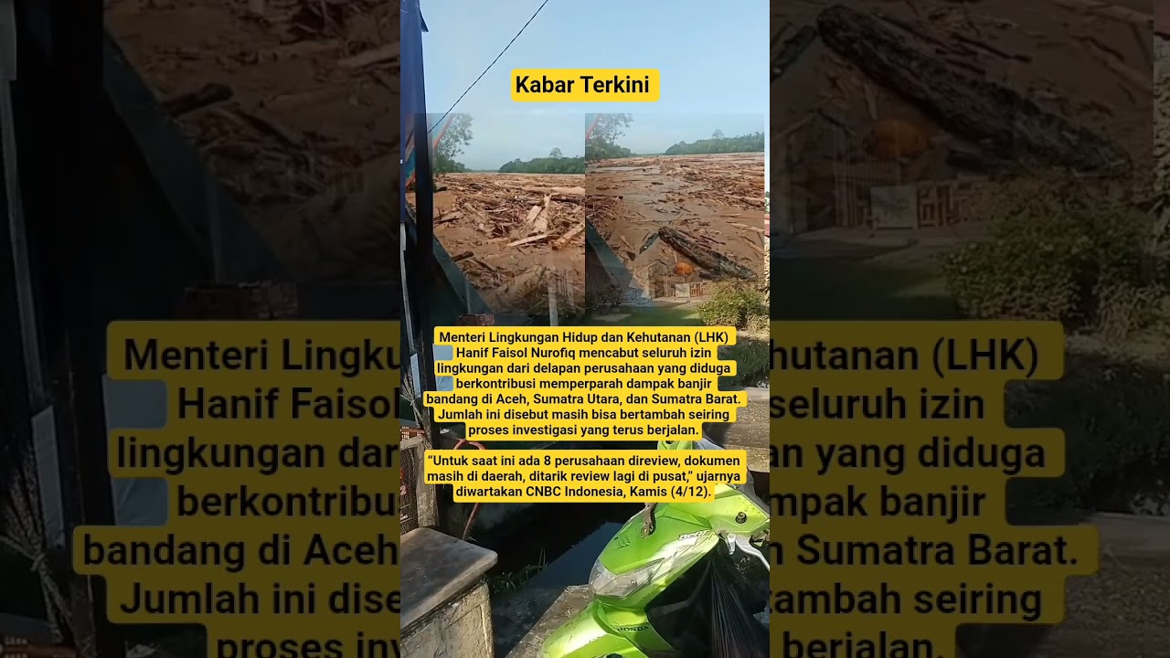 Cabut semua izin lahan , yang menjadi biang kerok. 