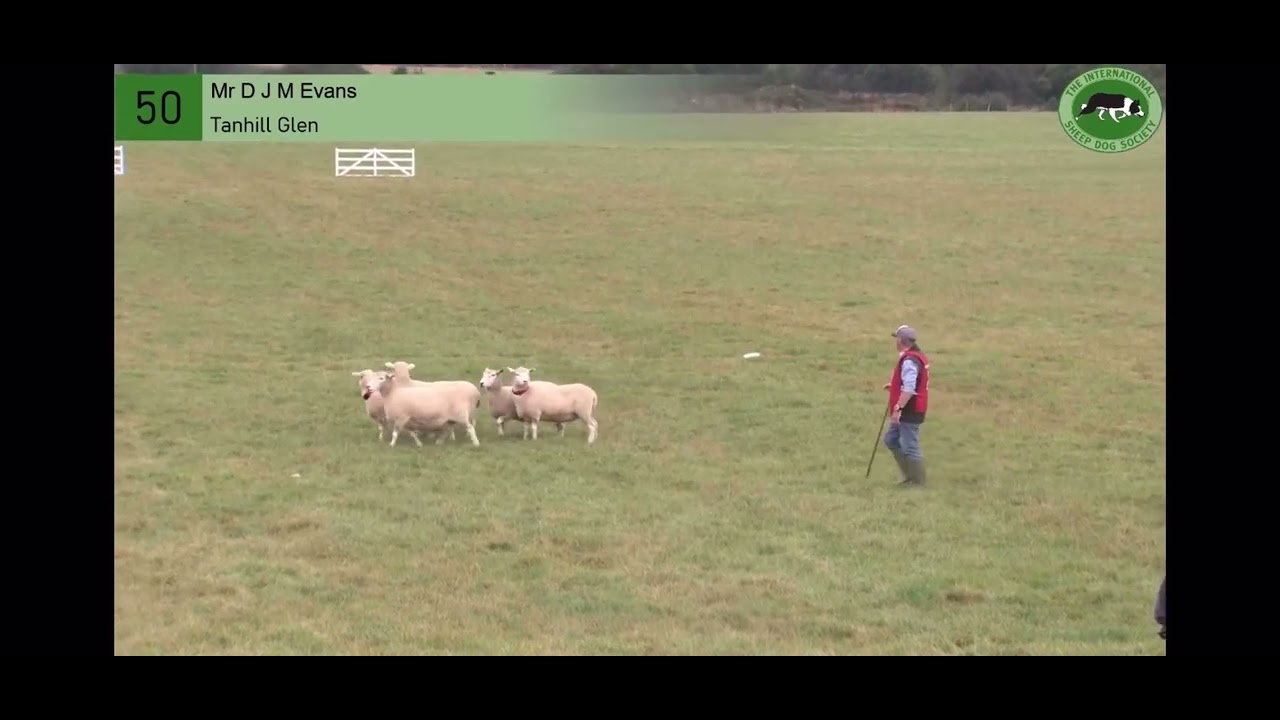 Tanhill Glen… 10 years old. Welsh National 2022