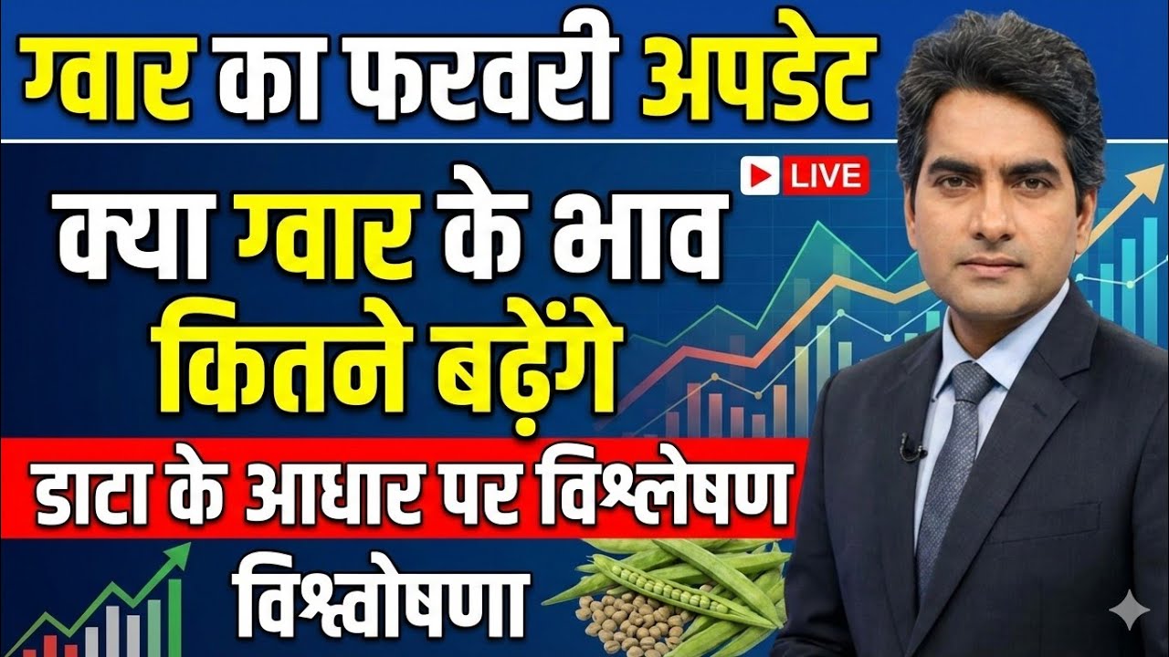 फरवरी में ग्वार का बाजार क्या कह रहा है ? मांग और भाव का विश्लेषण जानें ।