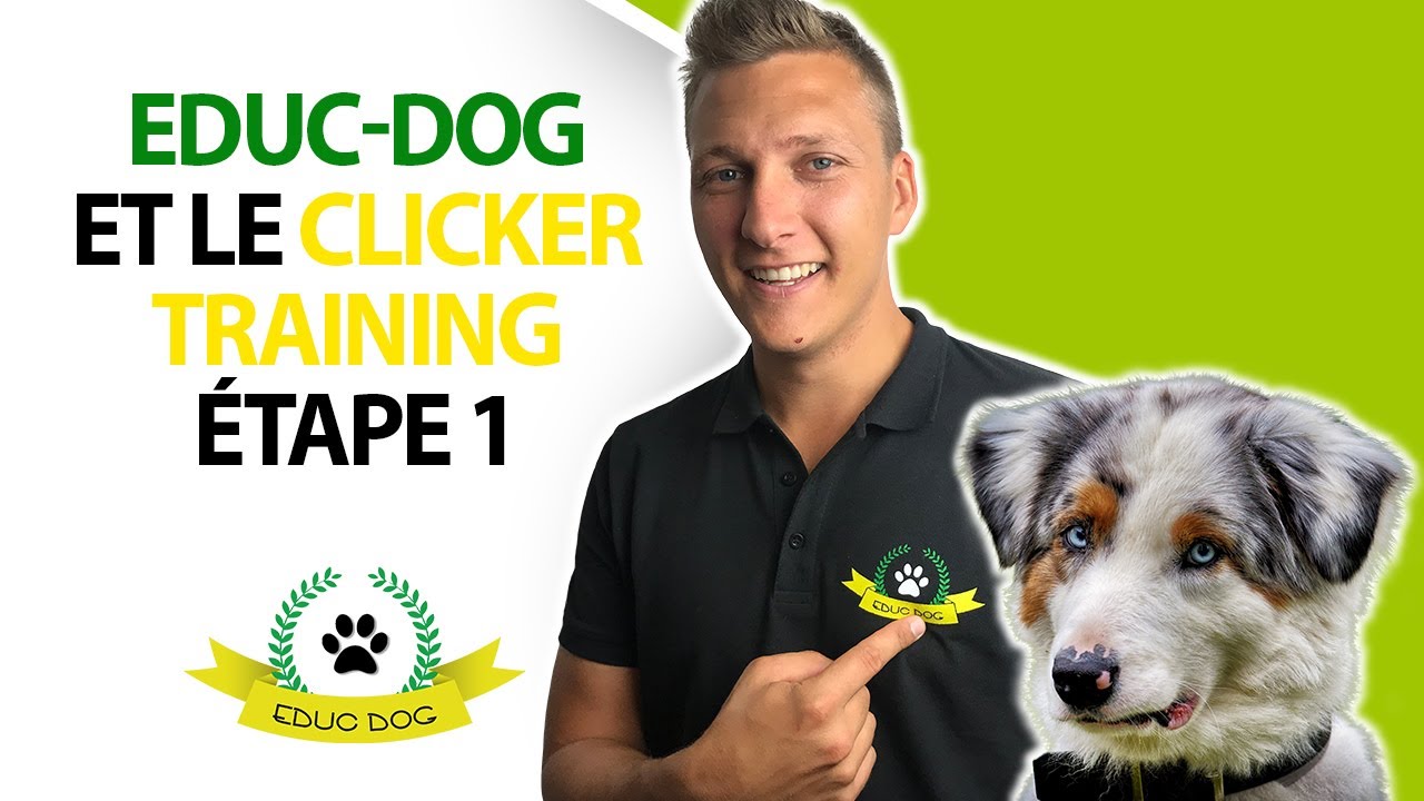 Comment utiliser CORRECTEMENT le Clicker Training - Vidéo 1/2