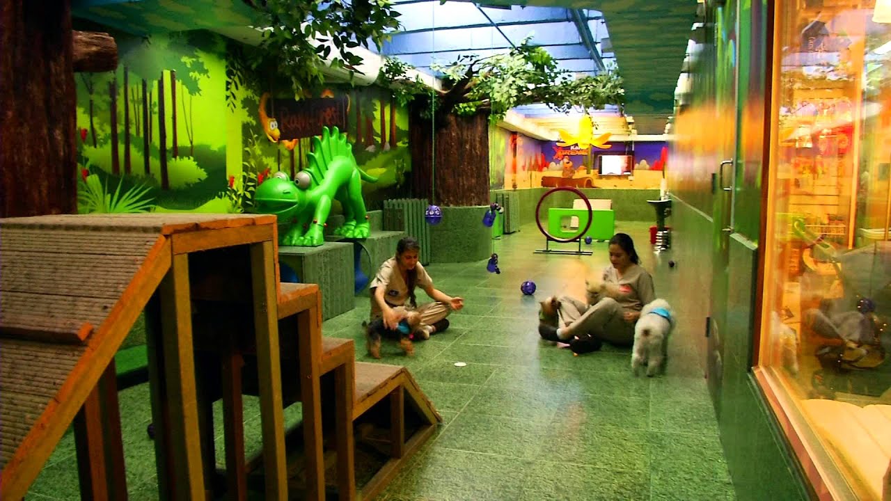 Soy Natural, Kanú Pet Hotel
