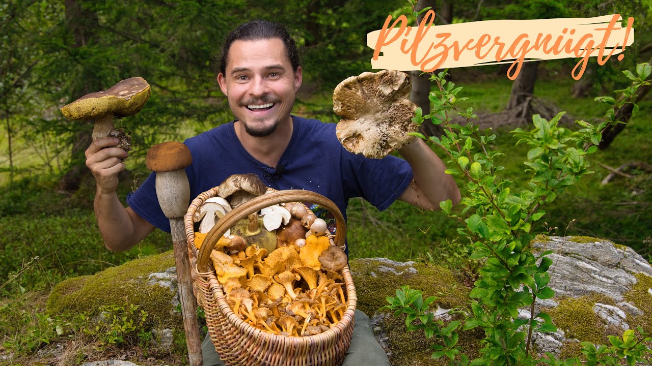 Riesige Steinpilze in traumhafter Pilz-Oase 2024 😁 seltene Röhrlinge, massenhaft Duftleistlinge! 🍀