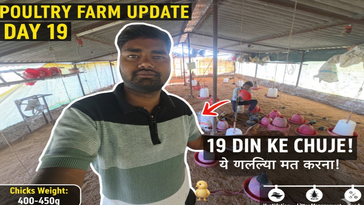 19din me chujo ka weight kitna hona chahiye aur is stage par kaun si baato ka dhyan rakhna zaroori h