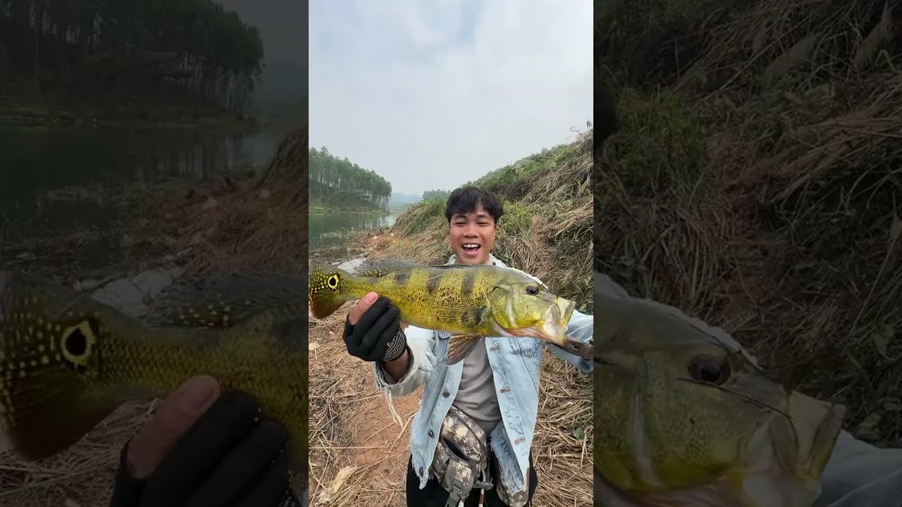 The Beauty of a Predator Fish | Epic Fishing Moment