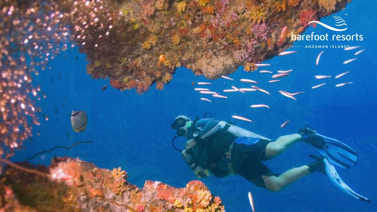 Escape to Asia’s Best Beach with Barefoot Resorts | Andaman Island - Havelock